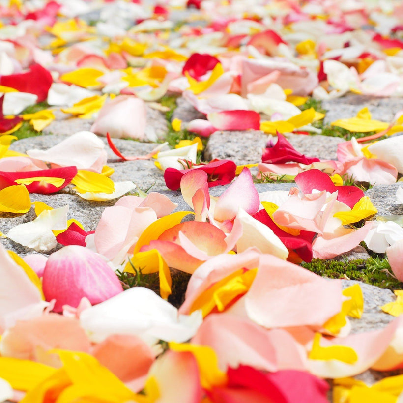 Assorted Flowers