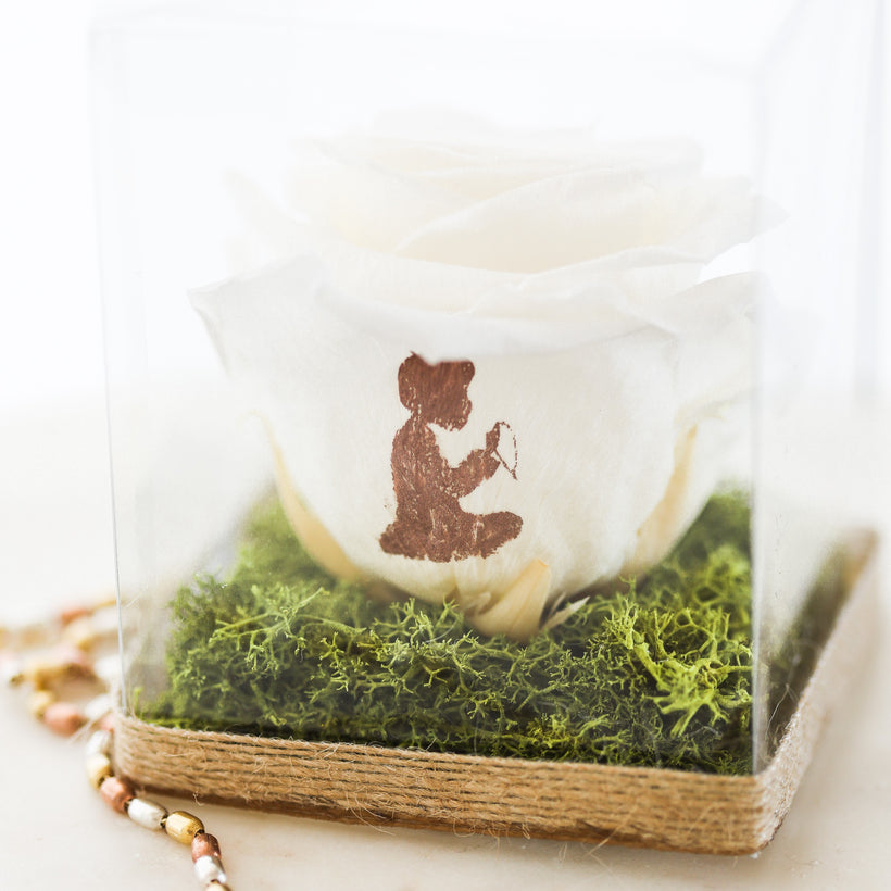 DRIED &amp; PRESERVED FLOWERS