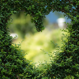 GREENERY - Bloomsfully