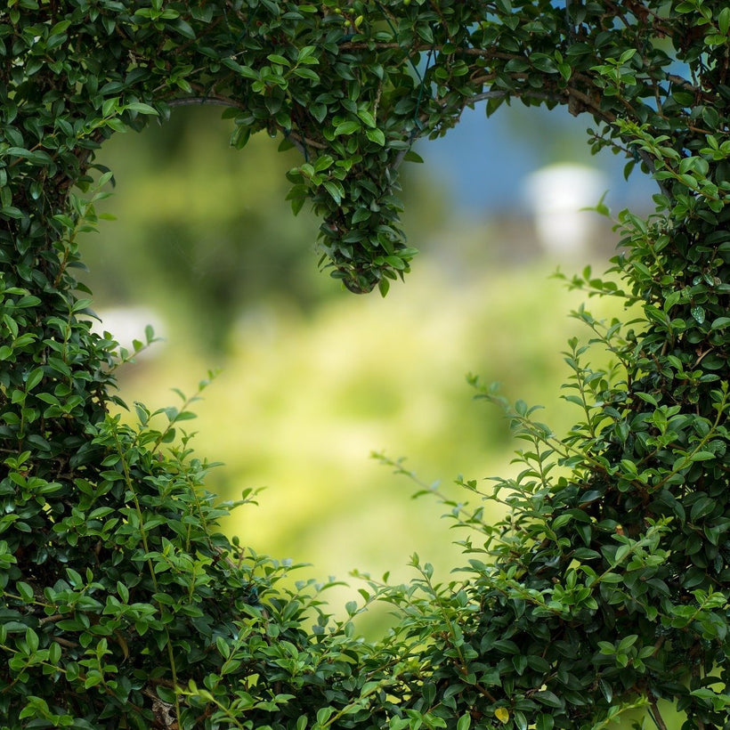 GREENERY
