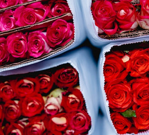 RED FLOWERS - Bloomsfully